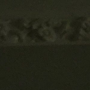 Meet your Posher, Lou